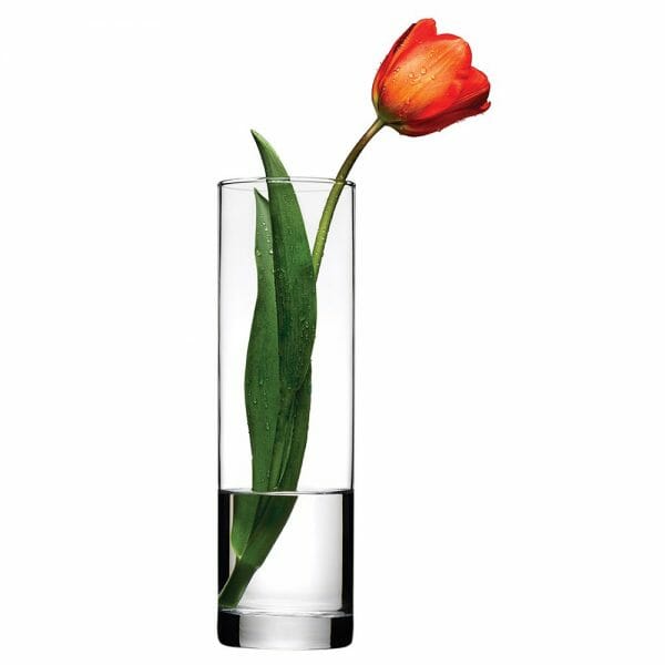 Florero Botanica De Vidrio Pasabahce 1.2 Lts