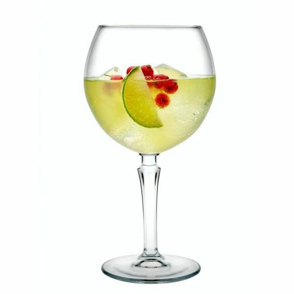 Juego de 6 Copas Para Gin 655 ml Hudson - Image 2