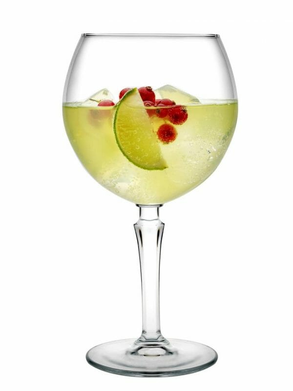 Juego de 6 Copas Para Gin 655 ml Hudson - Image 6