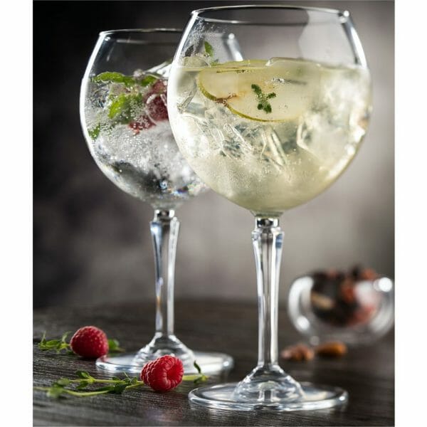 Juego de 6 Copas Para Gin 655 ml Hudson - Image 3