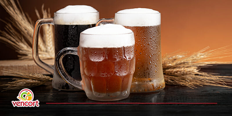 Conoce los diferentes tipos de tarros de cerveza que tenemos en Vencort