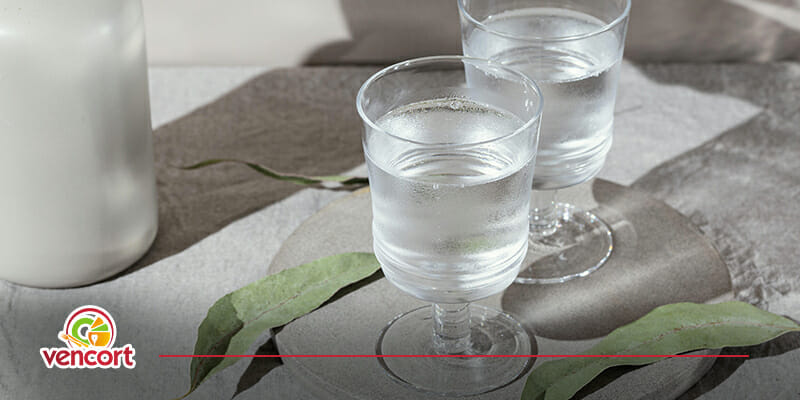 Encuentra las copas para agua, vino y licor en Vencort.