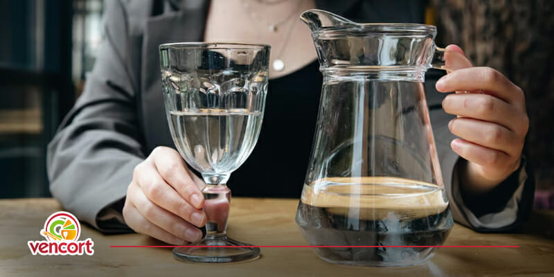 Las mejores copas para agua las encuentras en Vencort, compra ahora