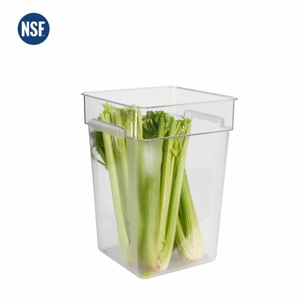 Contenedor Cuadrado Policarbonato 15 Lts/18 Qts