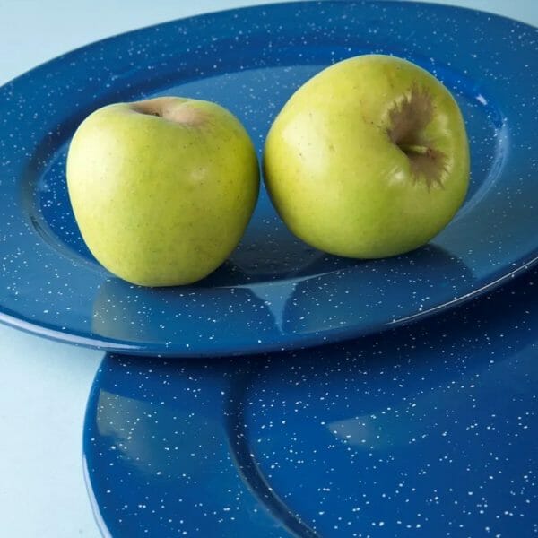 Plato De Peltre Azul Nevado Con Ala 32 Cm Cinsa - Image 3